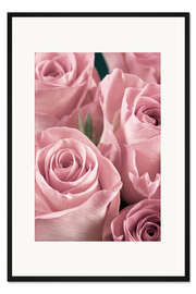 Gerahmter Kunstdruck Bund Rosen in Altrosa