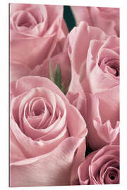 Gallery print Bunch of pale pink roses