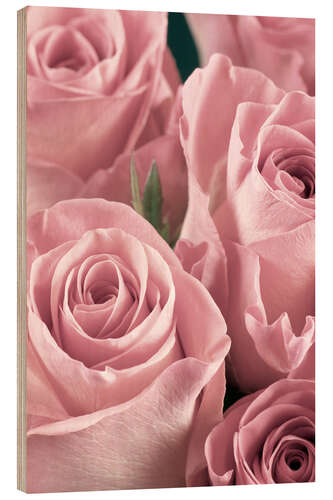 Wood print Bunch of pale pink roses