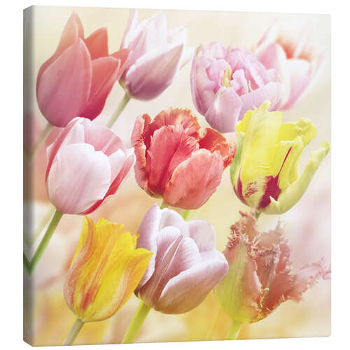 Canvas print Various tulips