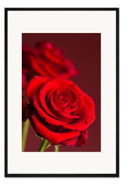 Gerahmter Kunstdruck Rote Rosen