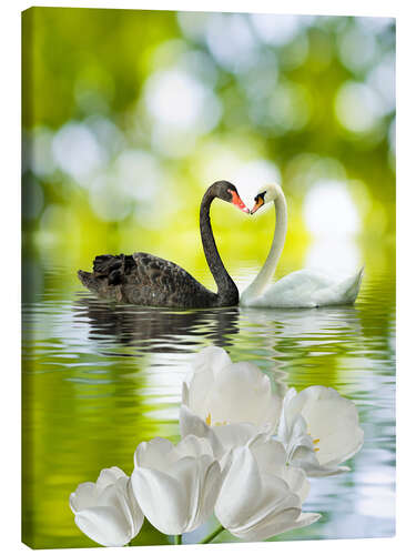 Canvas print Two swans in love