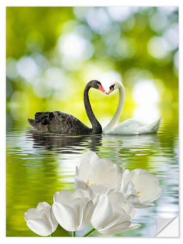 Selvklebende plakat Two swans in love