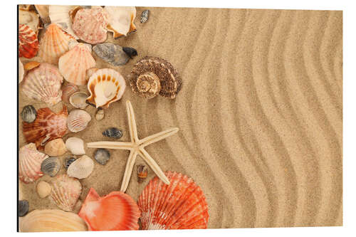 Aluminium print Shells and starfish on sand