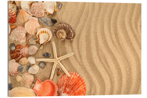 Galleritryck Shells and starfish on sand