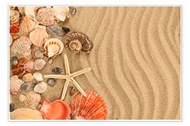 Póster Shells and starfish on sand