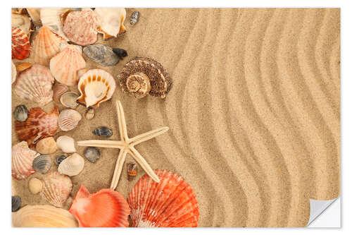 Sisustustarra Shells and starfish on sand