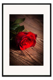Gerahmter Kunstdruck Rote Rose auf Holz