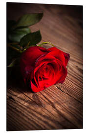 Gallery print Red rose on wood