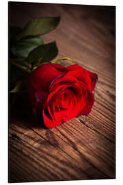 Magnettafel Rote Rose auf Holz