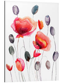 Aluminium print Poppy Flowers and Capsules