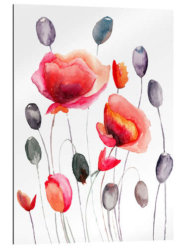 Gallery print Poppy Flowers and Capsules