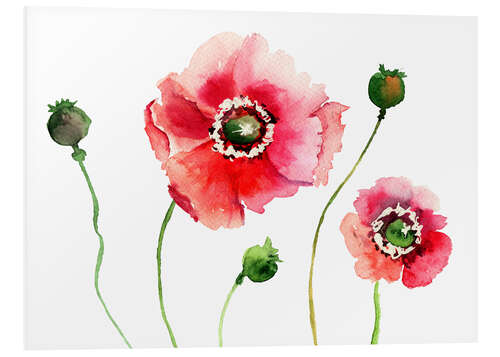 Tableau en PVC Fleurs de coquelicots III