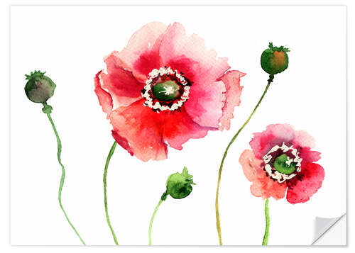 Autocolante decorativo Poppy Flowers III