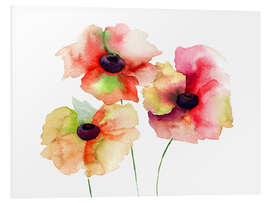 Foam board print Poppy Flowers II