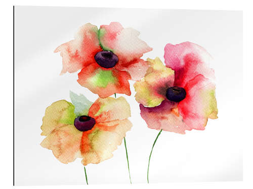 Quadro em plexi-alumínio Poppy Flowers II