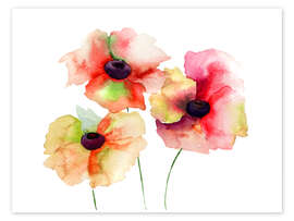 Print  Poppy flowers
