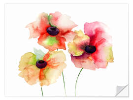 Selvklebende plakat Poppy Flowers II