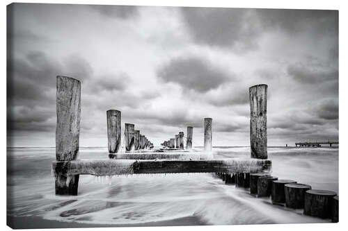 Quadro em tela Groynes on the Baltic Sea coast in Zingst, Germany