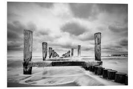 Foam board print Groynes on the Baltic Sea coast in Zingst, Germany