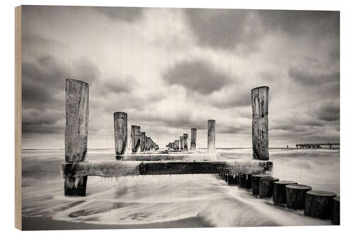 Wood print Groynes on the Baltic Sea coast in Zingst, Germany