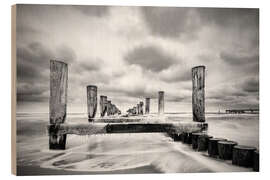 Obraz na drewnie Groynes on the Baltic Sea coast in Zingst, Germany