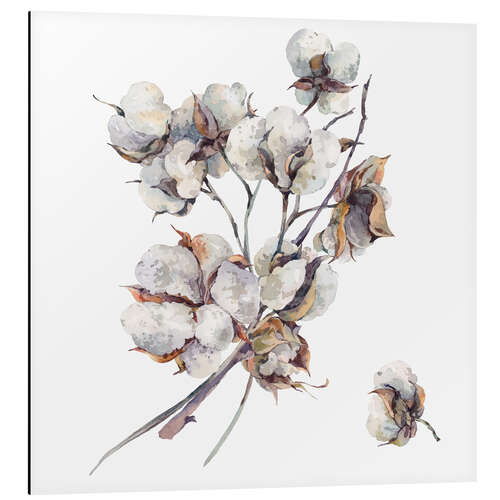 Aluminium print Cotton Flower Twigs