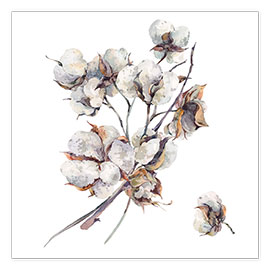 Poster Cotton Flower Twigs