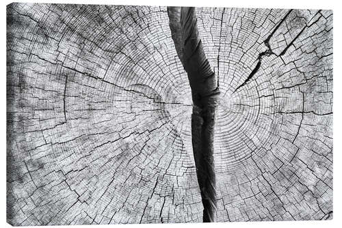 Canvas-taulu Cleaved tree trunk