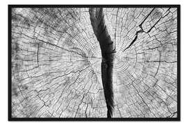 Gerahmter Kunstdruck Gespaltene Baumscheibe