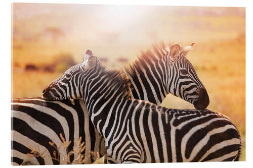 Acrylglasbild Zebrastute mit Fohlen, Kenia