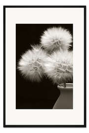 Gerahmter Kunstdruck Pusteblumen in einer Vase