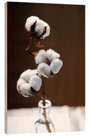 Holzbild Baumwollblüte auf braunem Hintergrund