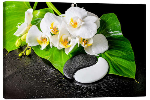 Canvas print White orchids and Yin-Yang stones