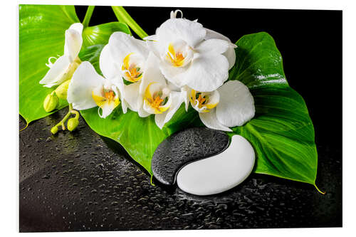 PVC-taulu White orchids and Yin-Yang stones