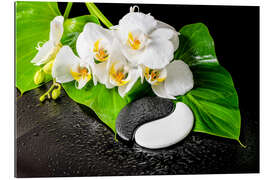 Gallery print White orchids and Yin-Yang stones