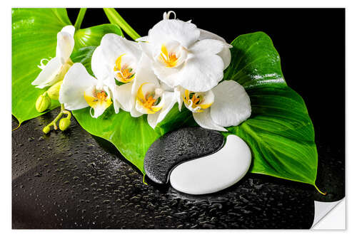 Selvklebende plakat White orchids and Yin-Yang stones