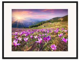 Gerahmter Kunstdruck Frühlingssonne und Krokusse