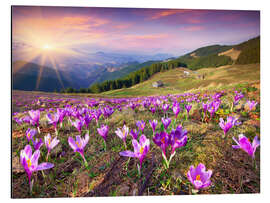 Magnettafel Frühlingssonne und Krokusse