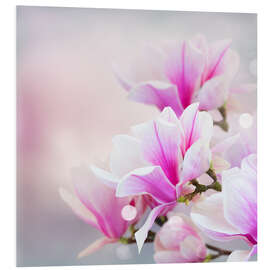 Foam board print Magnolia flowers on bokeh background