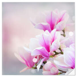 Vinilo para la pared Magnolia flowers on bokeh background