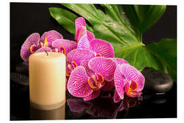 Stampa su PVC Zen still life with orchids