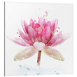 Quadro em alumínio Pink Waterlily Flower