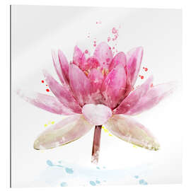 Gallery print Pink Waterlily Flower