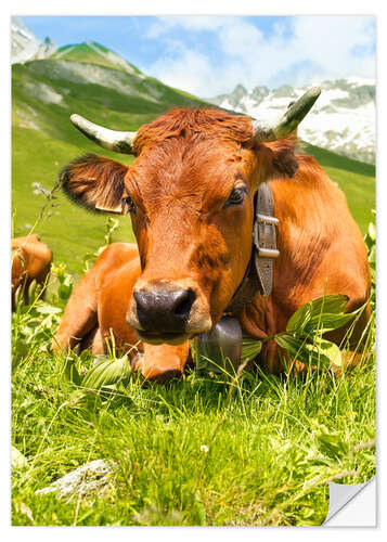 Naklejka na ścianę Cow with bell on Mountain Pasture