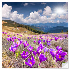 Wall sticker Crocuses in a mountain landscape