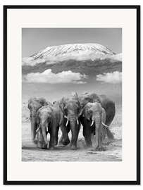 Gerahmter Kunstdruck Elefantenherde vorm Kilimandscharo