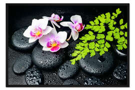 Gerahmter Kunstdruck Zen Stillleben