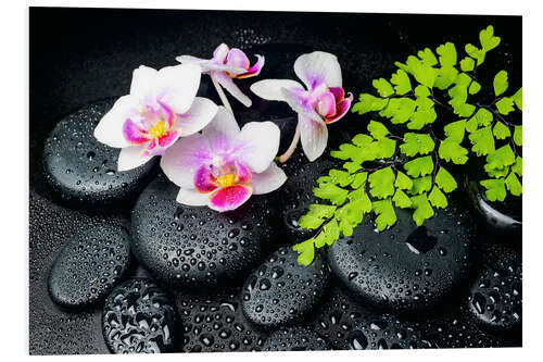 Foam board print Zen still life