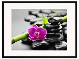 Gerahmter Kunstdruck Basaltsteine, Bambus und Orchidee